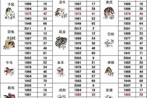 2005年属什么|2005年属什么生肖 2005年生肖的命运